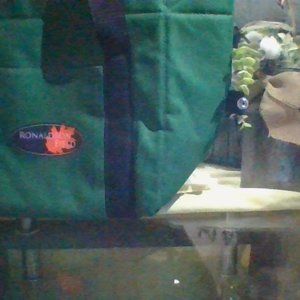 Carry out door cooler